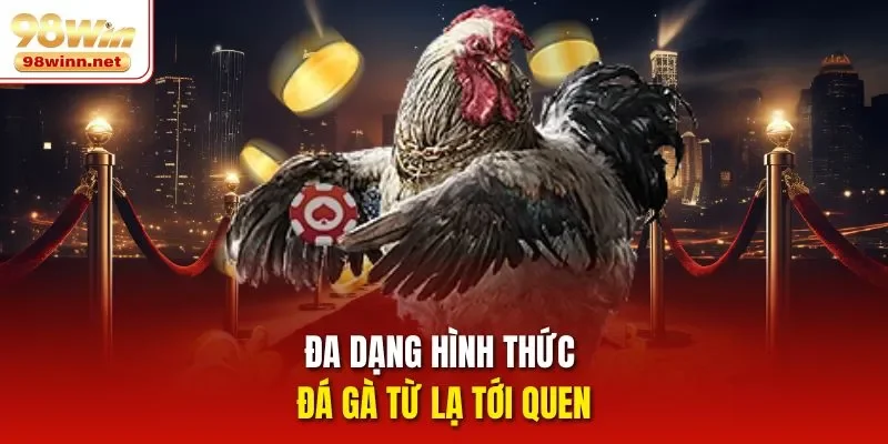 Đa dạng hình thức đá gà từ lạ tới quen