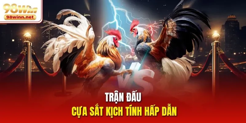 Trận đấu cựa sắt kịch tính hấp dẫn